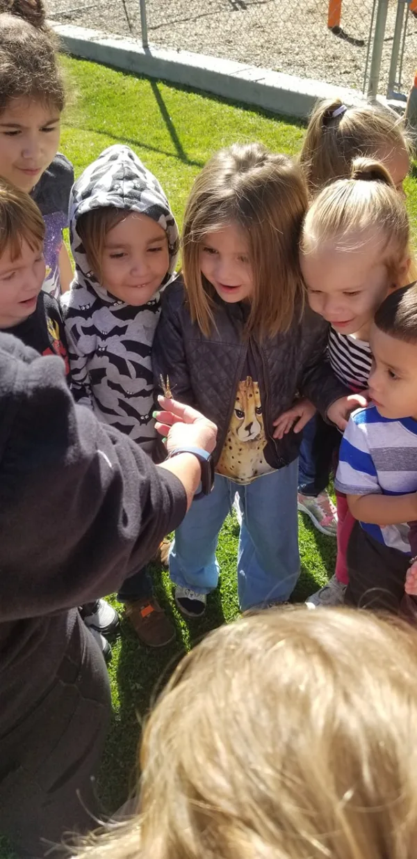 Our Butterflies have Emerged!