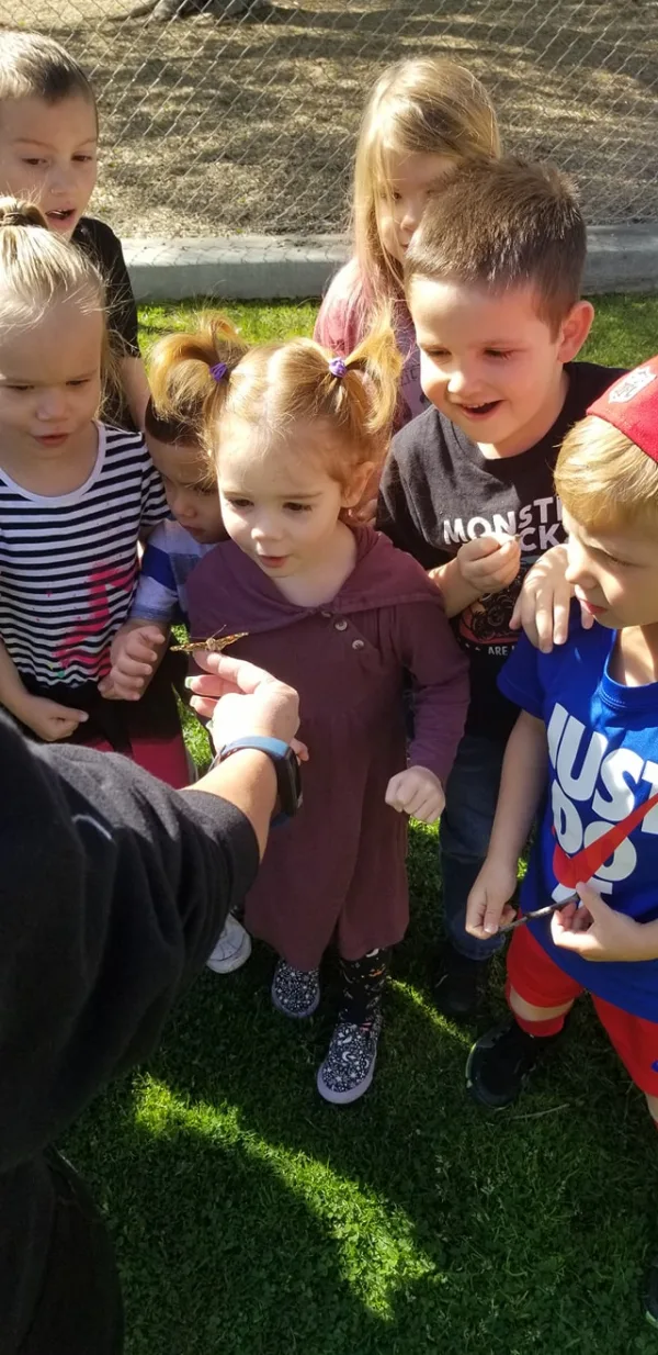 Our Butterflies have Emerged!