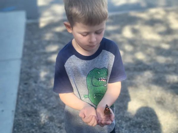 Our Butterfly Science Experiment