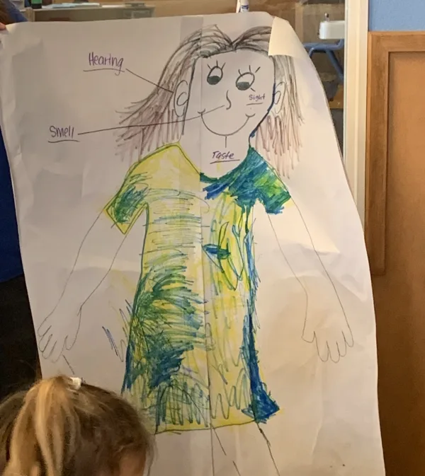 We're Learning All About Our Five Senses