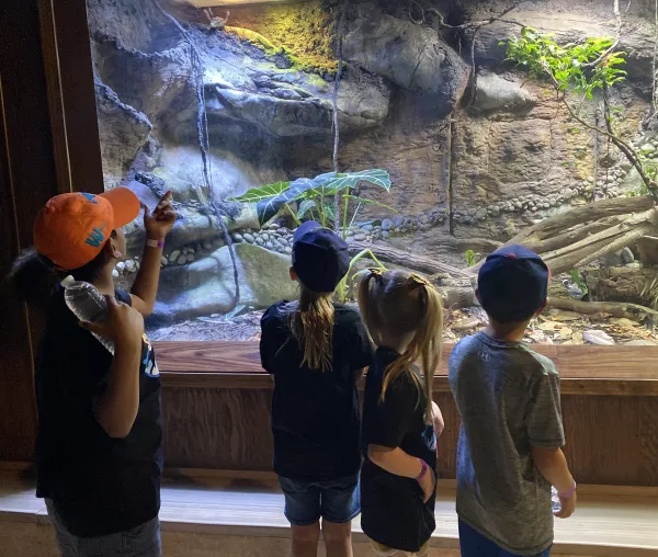Our Field Trip to the Zoo!