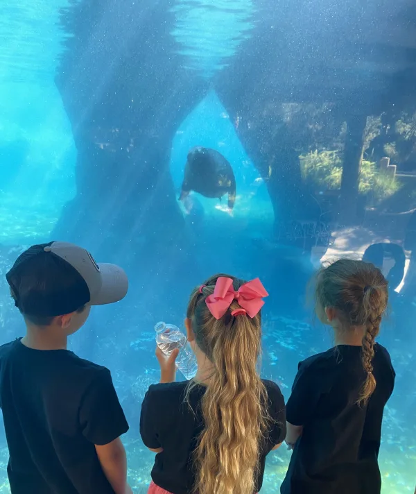 Our Field Trip to the Zoo!