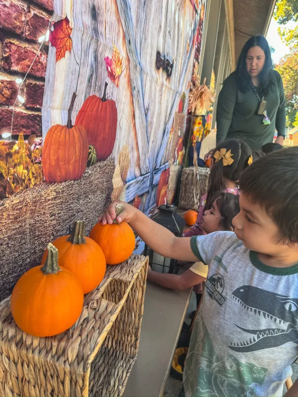 Pumpkin Patch Time!